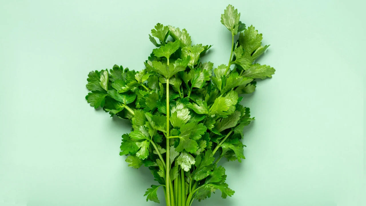 Celery Juice for Weight Loss Tapping into Nature's Slimming Secret
