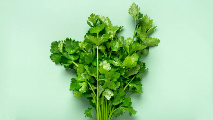 Celery Juice for Weight Loss: Tapping into Nature's Slimming Secret